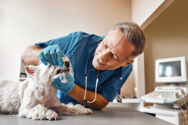 Best Emergency Tooth Extraction in Deland, FL